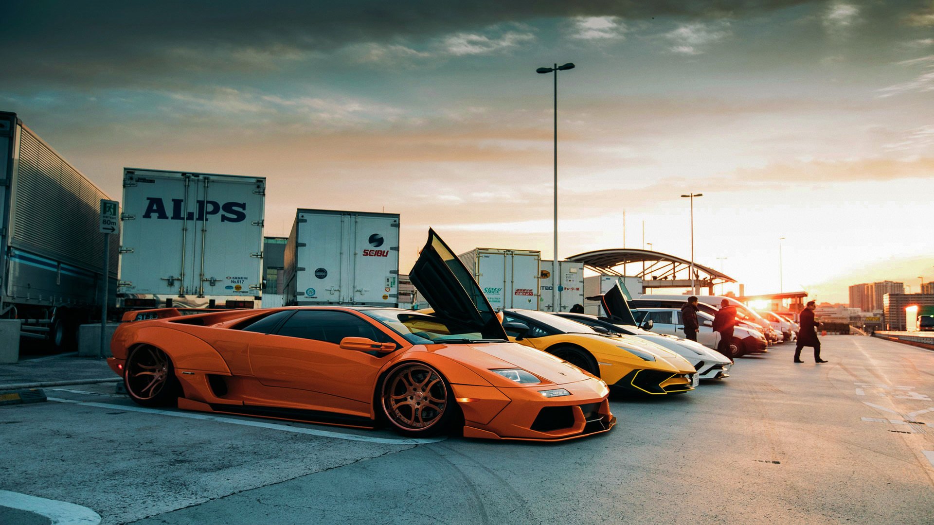 传统民族体操演绎，展现文化的体育魅力，传统民族体育项目电子小报