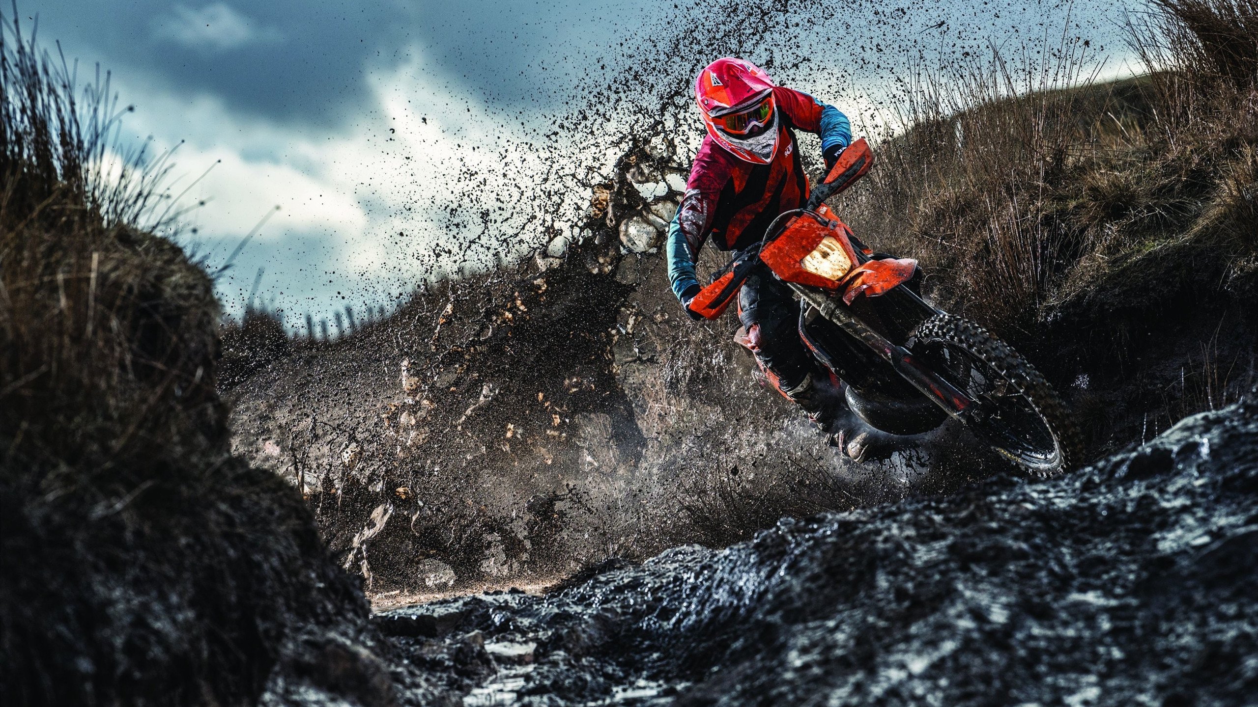 KAIYUN 中国大陆-“帕布罗·马特拉：阿根廷美洲狮队的铁血战士，未来更加耀眼”